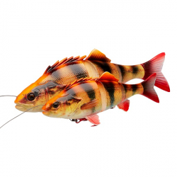 SAVAGE GEAR   LINE THRU PERCH 4D