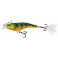 SALMO  RAIL SHAD