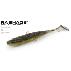 MOLIX  RA SHAD 6''